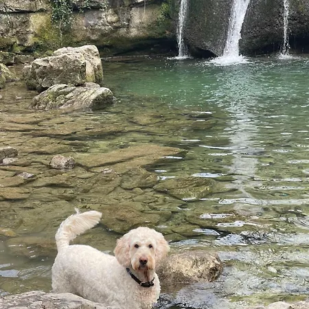 Prior Hall Farm - 3 Bedroom Luxury In Center Of *